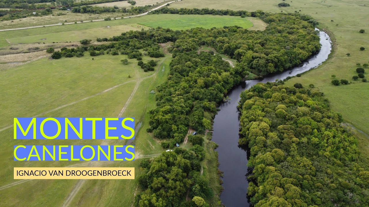#DroneTour - Montes, Canelones, #Uruguay - #Creek #Park #Nature #waterstream #Drone #DJI