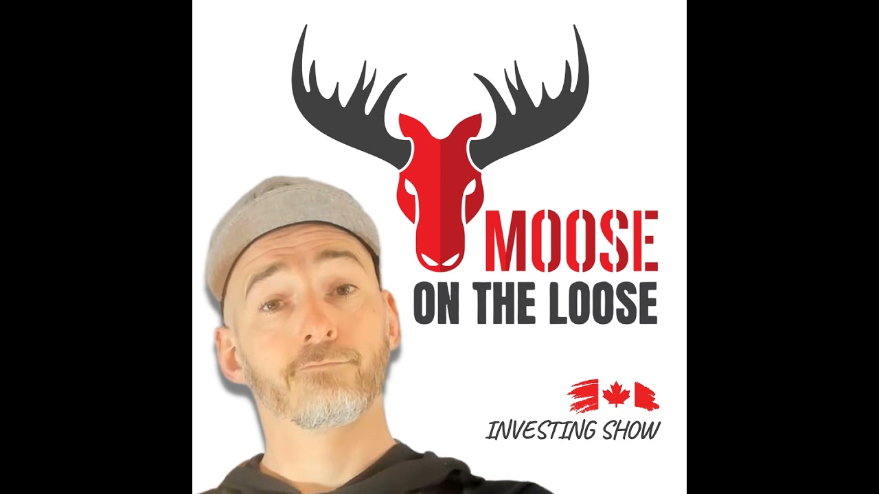 Worst Performing Canadian stocks in my portfolio ytd