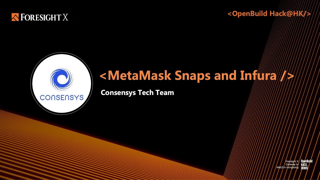 MetaMask Snaps and Infura