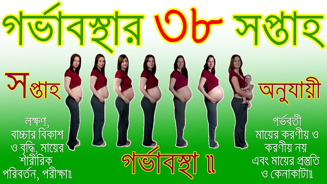গর্ভকালীন ৩৮ সপ্তাহের লক্ষণ,বাচ্চার বিকাশ ও বৃদ্ধি,মায়ের শারীরিক পরিবর্তন,পরীক্ষা।38 Weeks Pregnancy