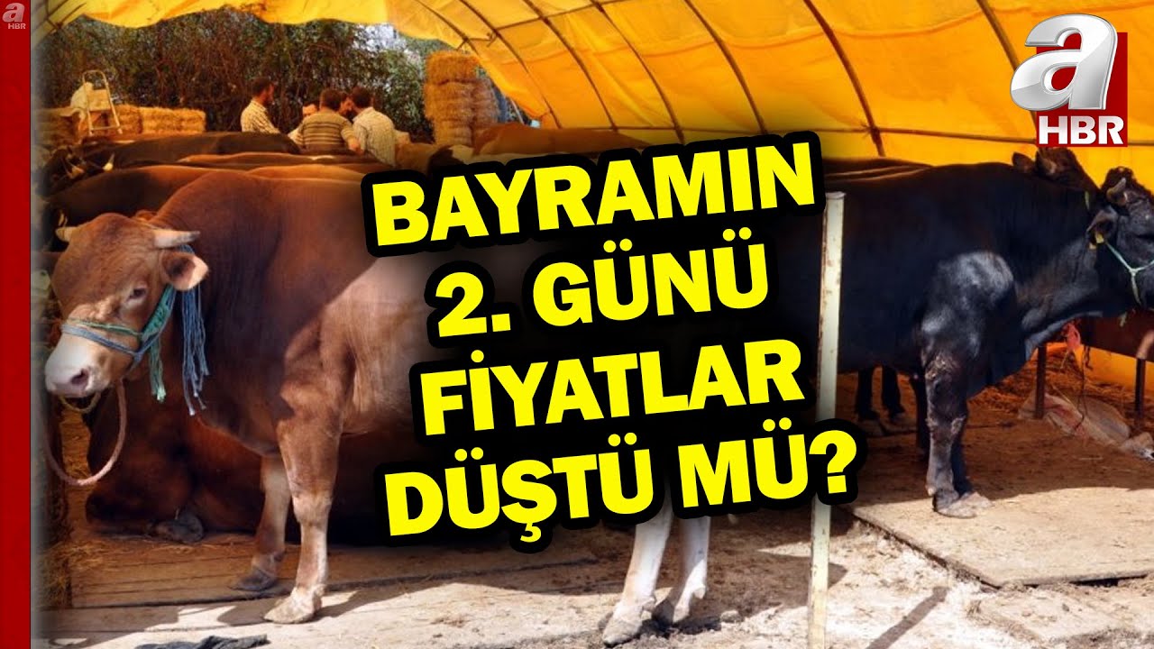 Bayramın 2. Günü Kurban Fiyatları Düştü Mü? | A Haber