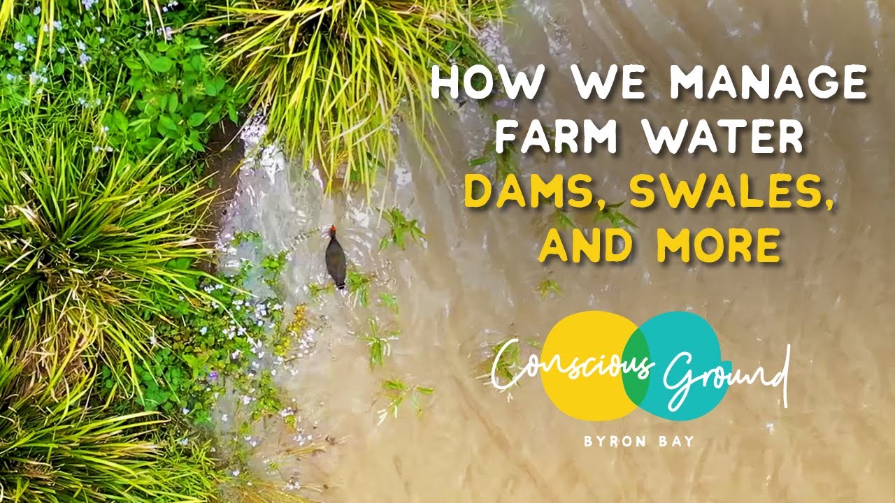 How we manage farm water - dams, swales and more