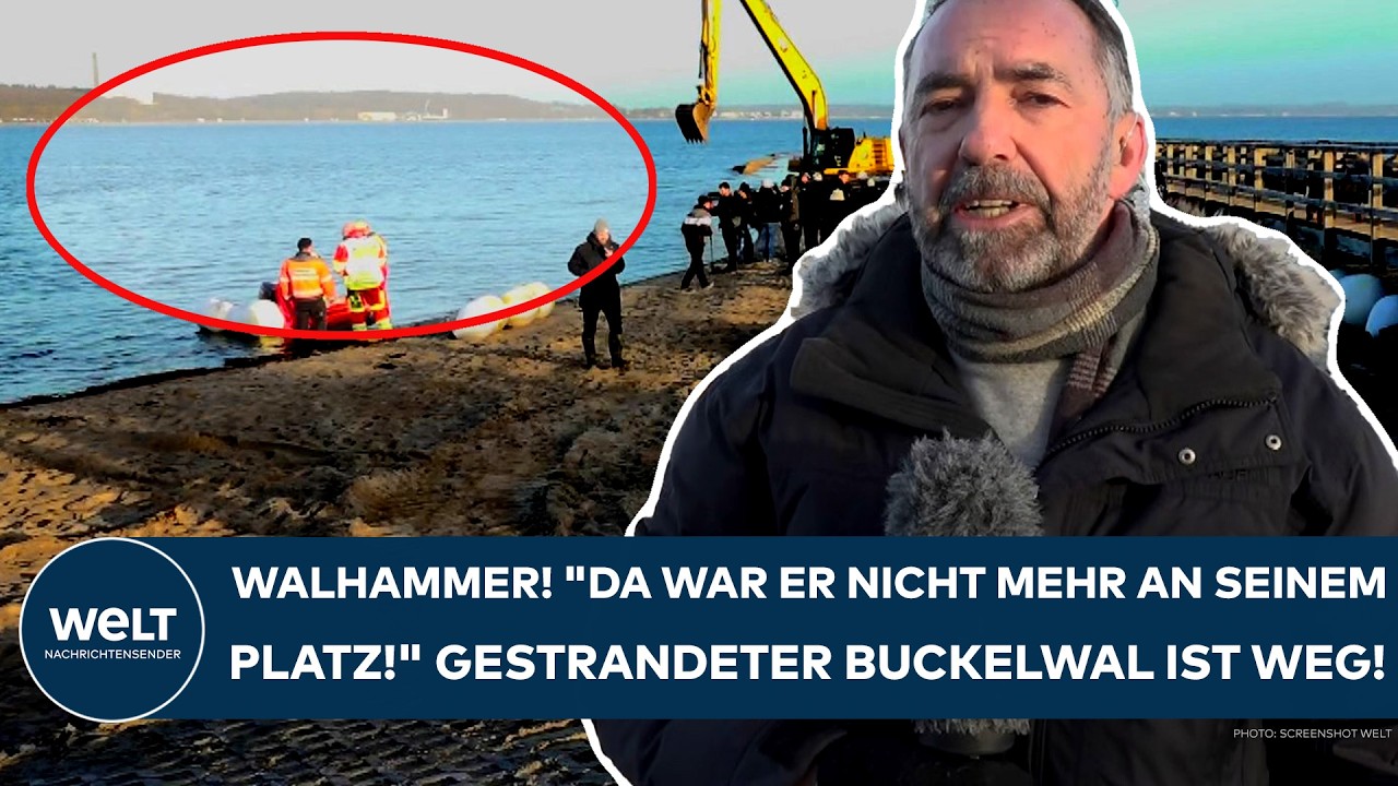 TIMMENDORFER STRAND: Walhammer! 