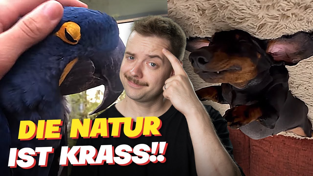 Die Natur ist KRASS!! Reaktion auf: memes that hit the spot