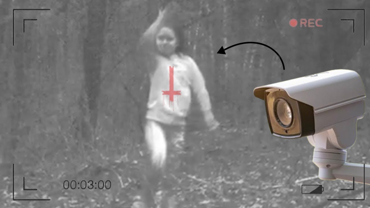 Dejo Una Cámara En El Bosque Y Nadie Podía Creer Lo Que Grabó