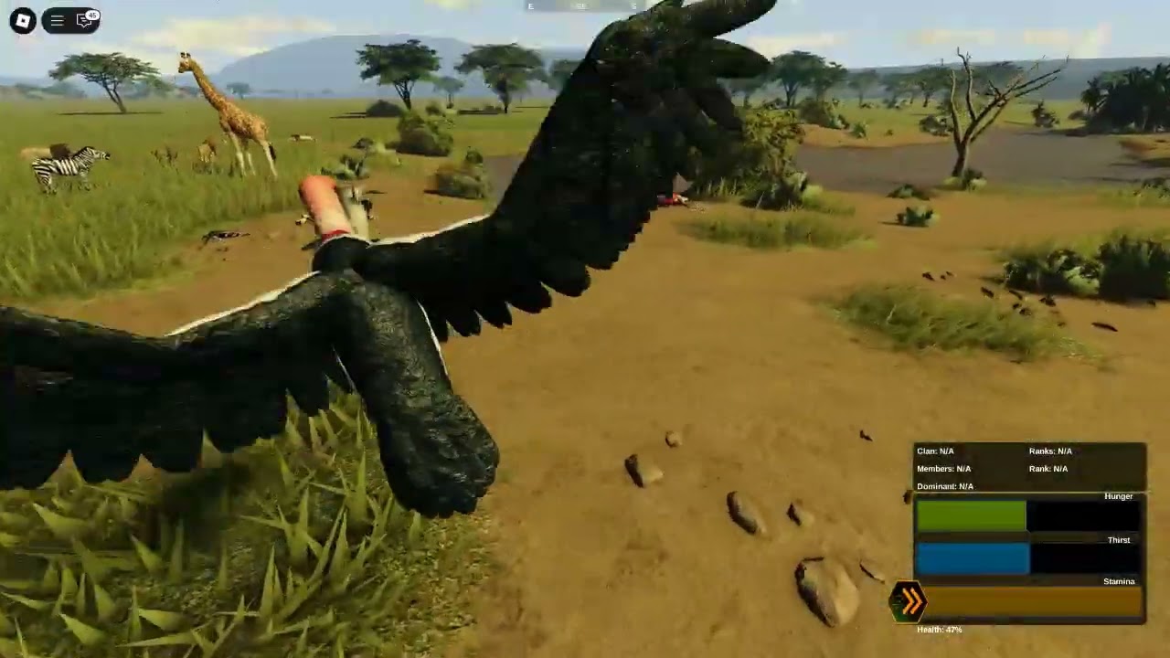 Wild Savannah Roblox Marabou Stork