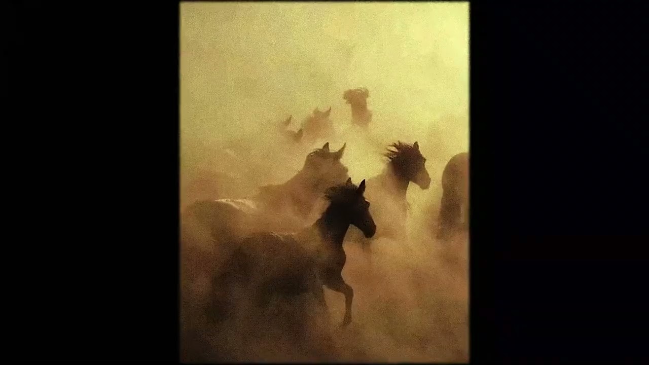 FREE * - Laylow & Jolagreen23 Type Beat ~ 