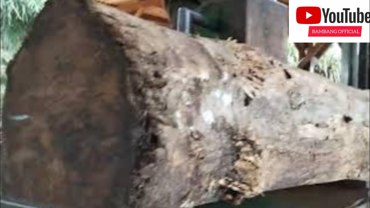 Panjang dan besar nya kayu cuman satu balok