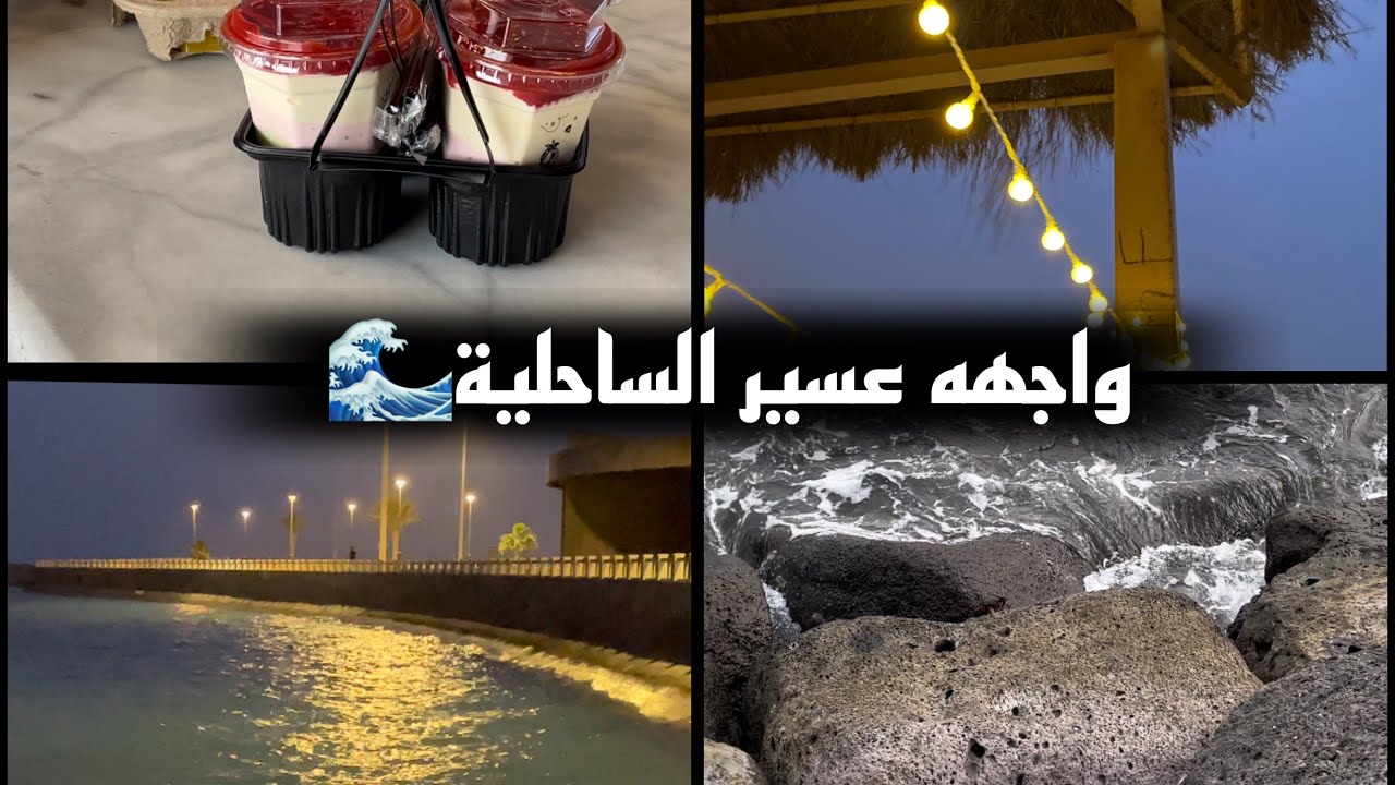 فلوق ساحل عسير 🌊🐚