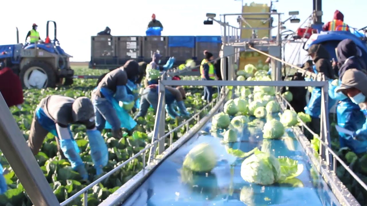 H2A Program  -  Employee Testimonials