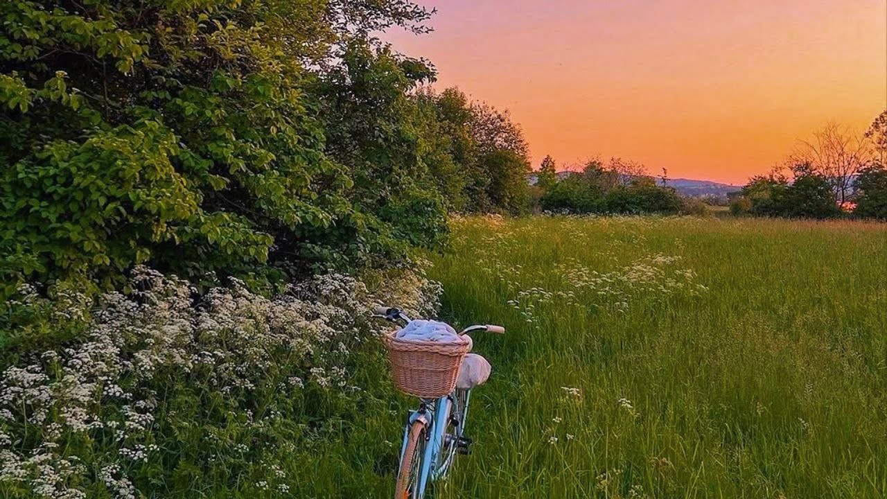 a quiet playlist for a quiet moments 🍀 beautiful quiet life