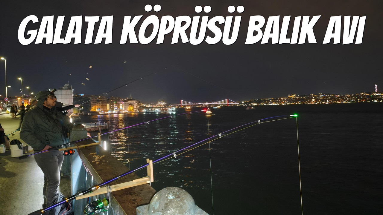 РЫБАЛКА НА ГАЛАТСКОМ МОСТУ В СТАМБУЛЕ | РЫБА ВНЕЗАПНО ВЫРЫВАЕТСЯ! 🎣🔥 #istanbul  #fishing