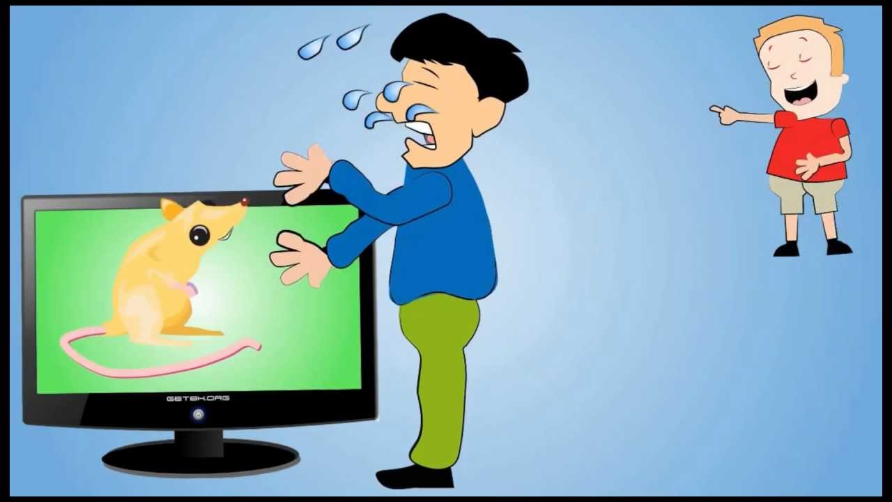 Video Marketing Services