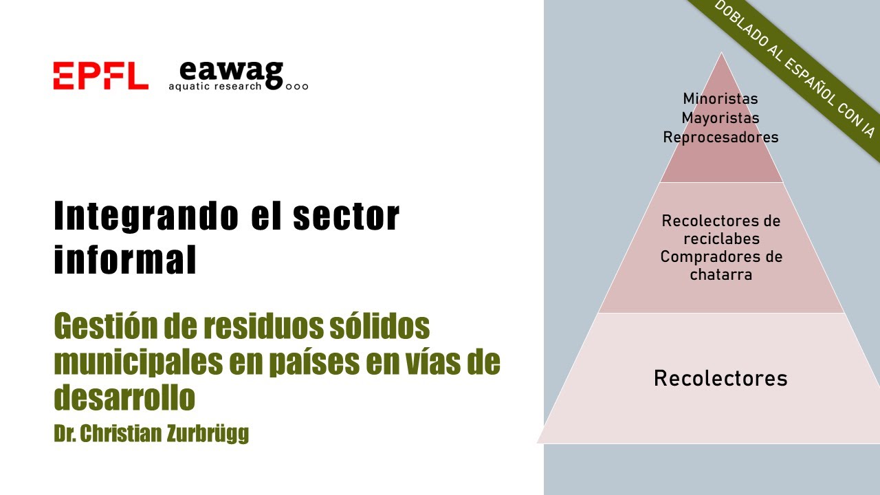Integrando el sector informal