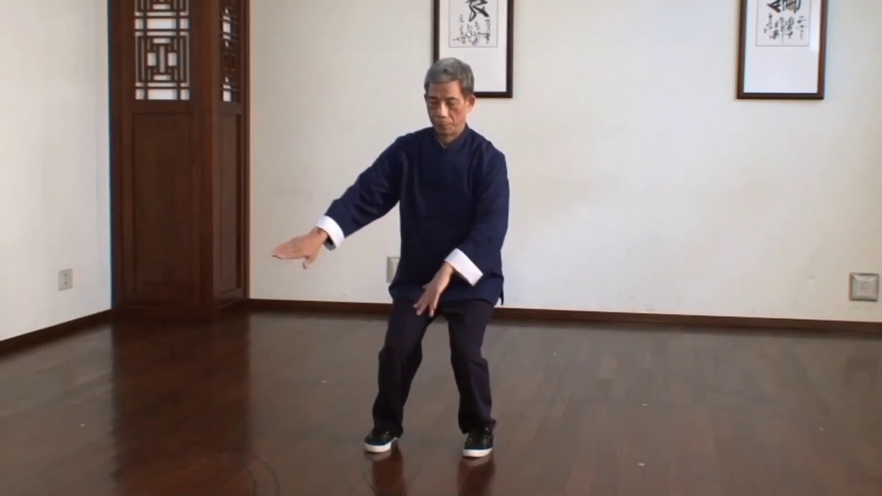 王福来 老師 正宗太極拳 Master Wang Fu Lai Tai Chi Chuan