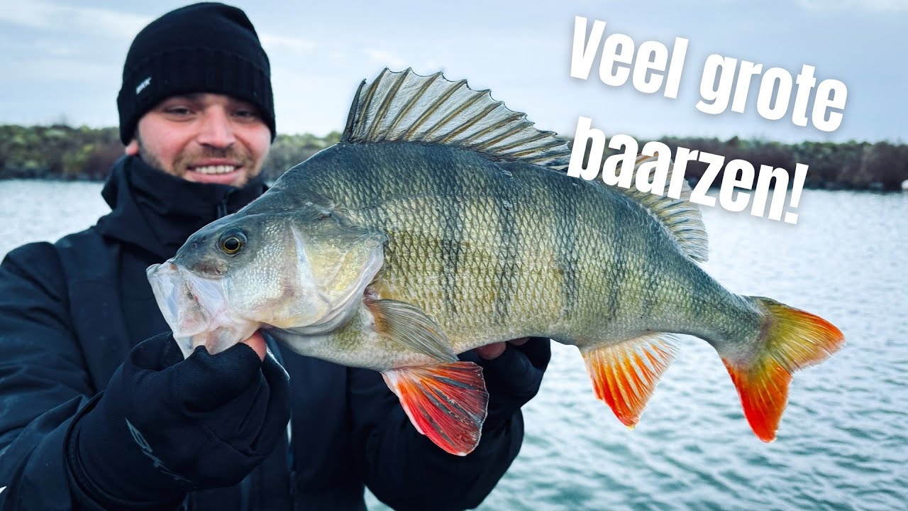 WIJ VANGEN OP ELKE WORP EEN BAARS!! (C-rig & Ned-Rig)