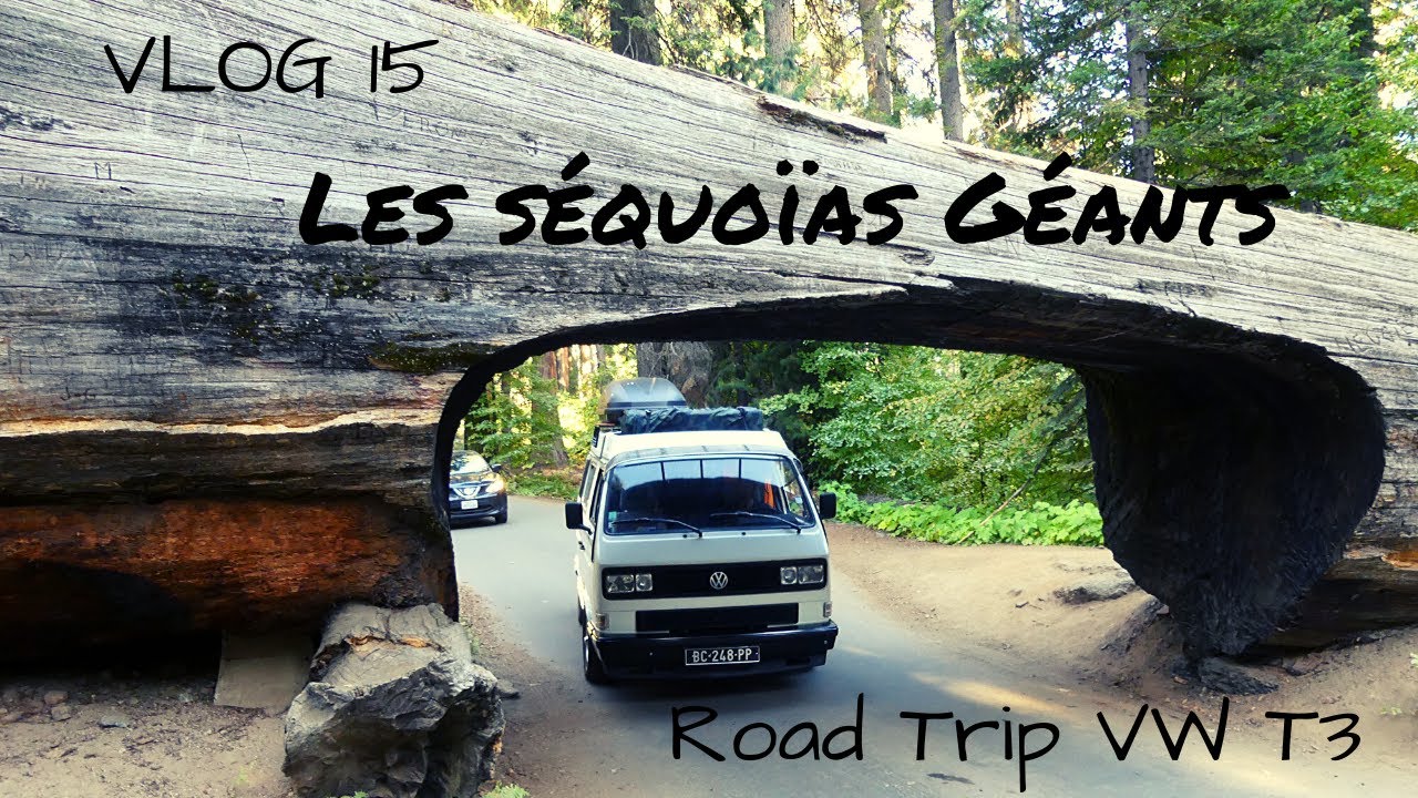 #15//ROAD TRIP VW T3//LES SÉQUOÏAS GÉANTS DE CALIFORNIE