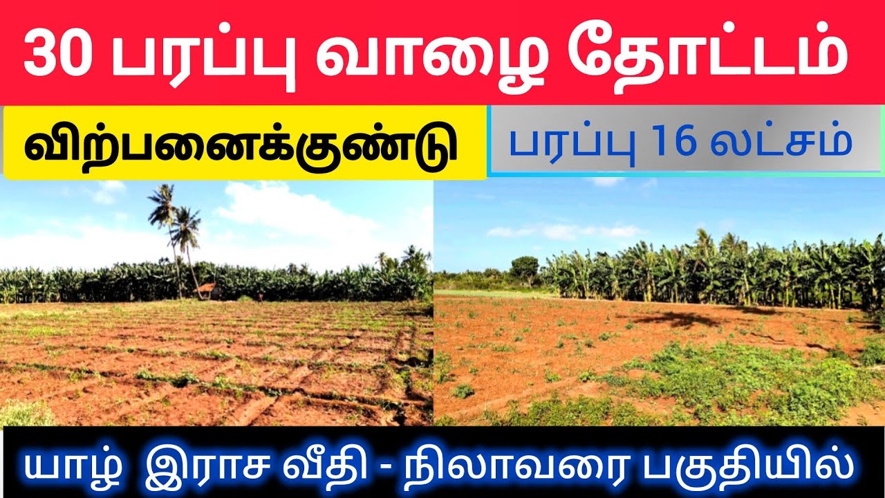 💥🤯🛑 காணி விற்பனைக்குண்டு | யாழ் - நிலாவரை பகுதியில் ⁉️💢 Jaffna | Srilanka #shorts