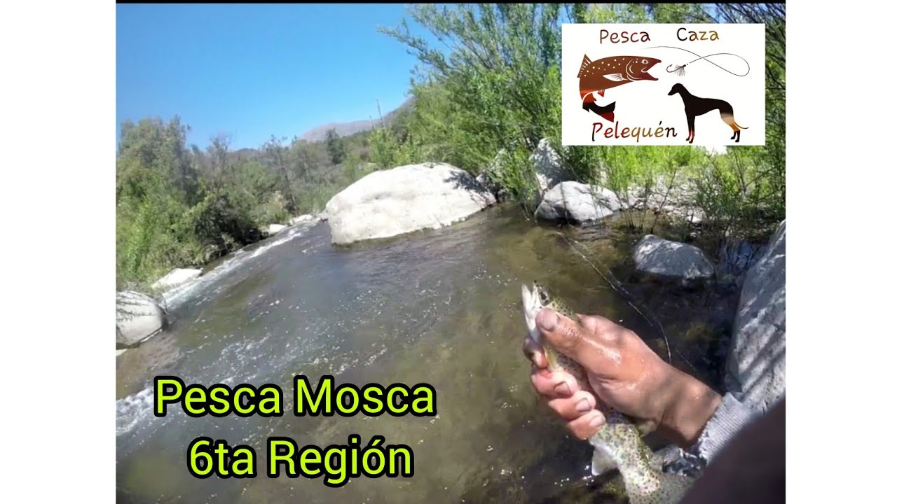 Pescando Truchas En Agua Buena 6ta Región , Precordillera De San Fernando