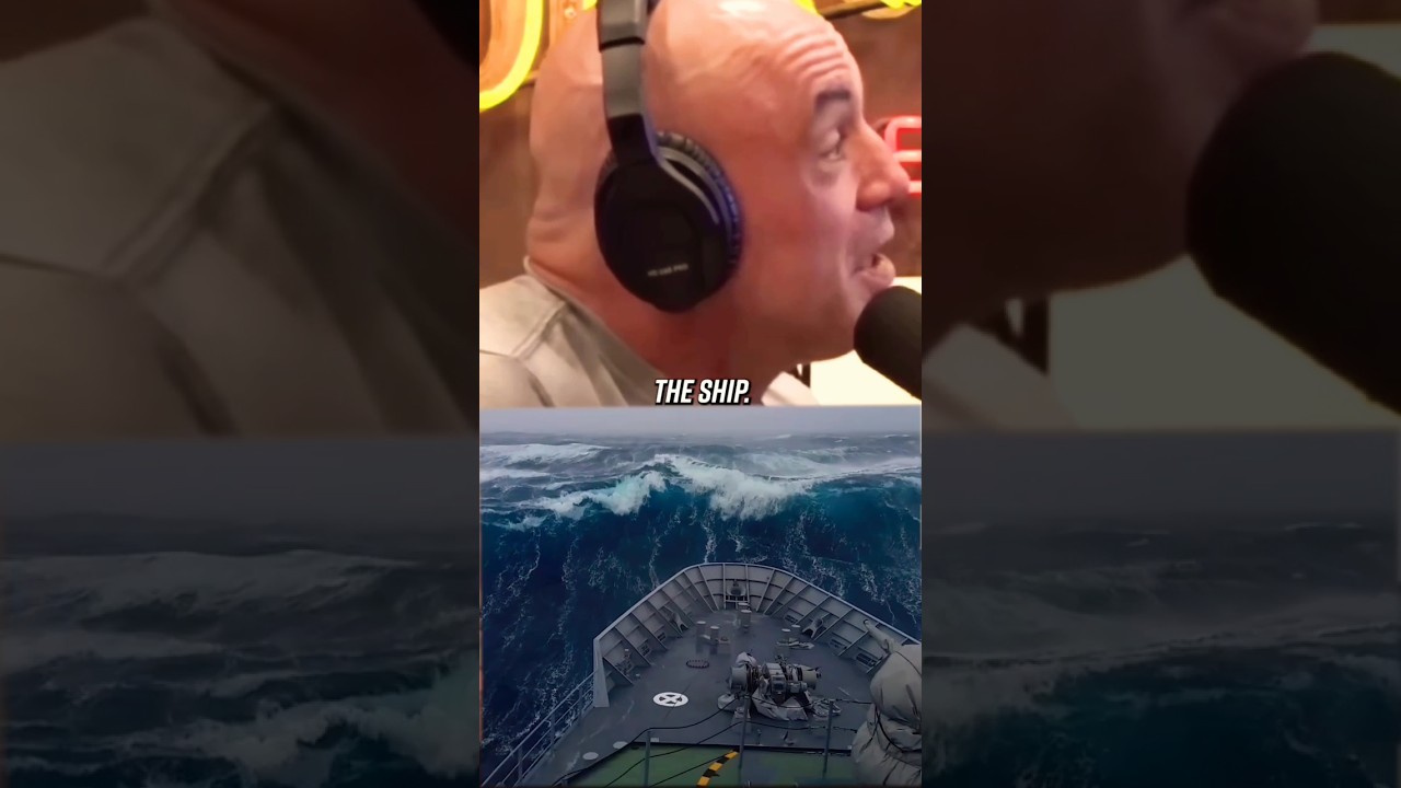 Джо Роган на Черном море 😳