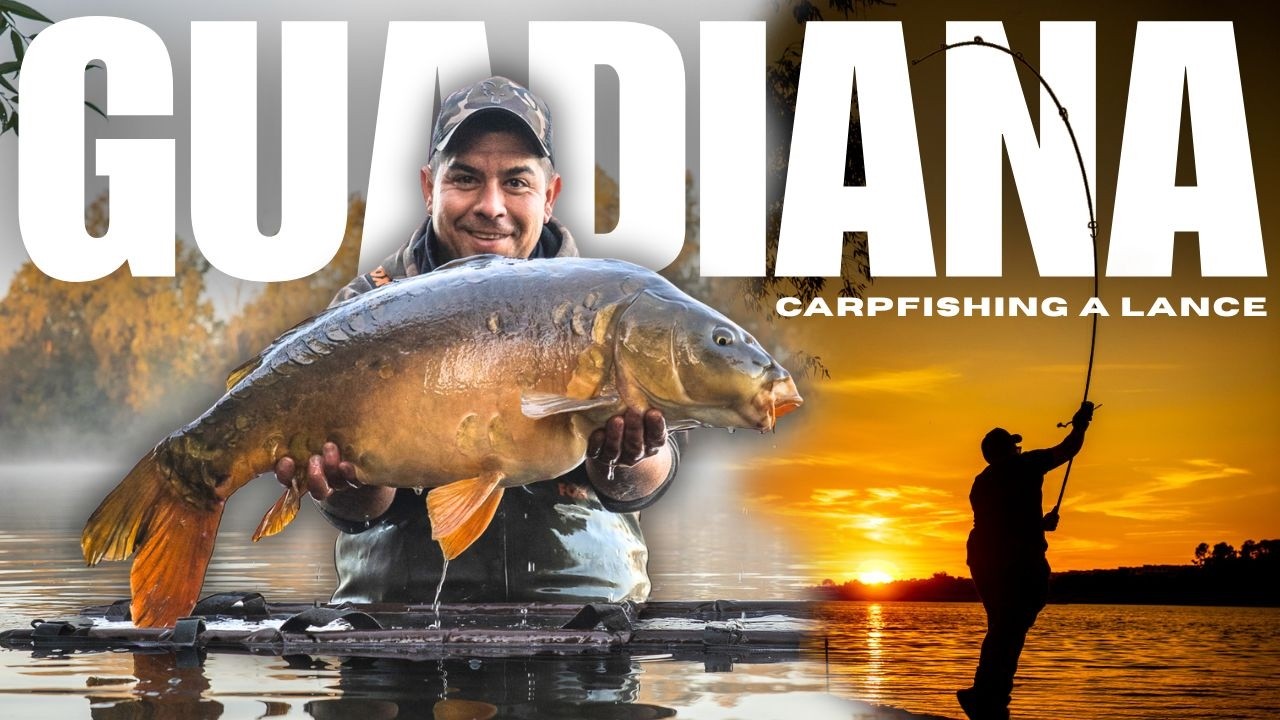 Guadiana Carpfishing a Lance | Captura de Carpas Salvajes desde la Orilla