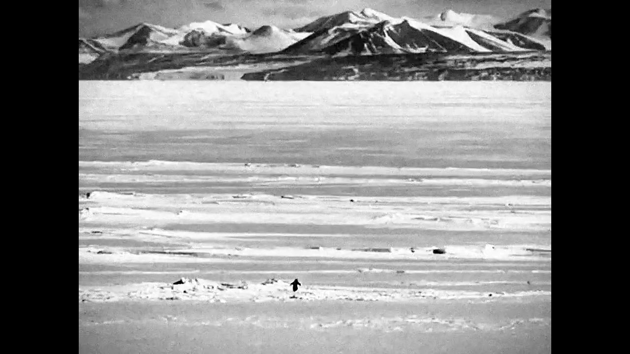 L'Amour Tojours: Organ Version (Slowed & Reverb) + Werner Herzog's Penguin Speech