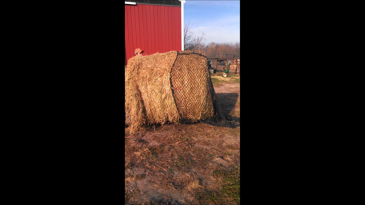 Cinch Chix hay net