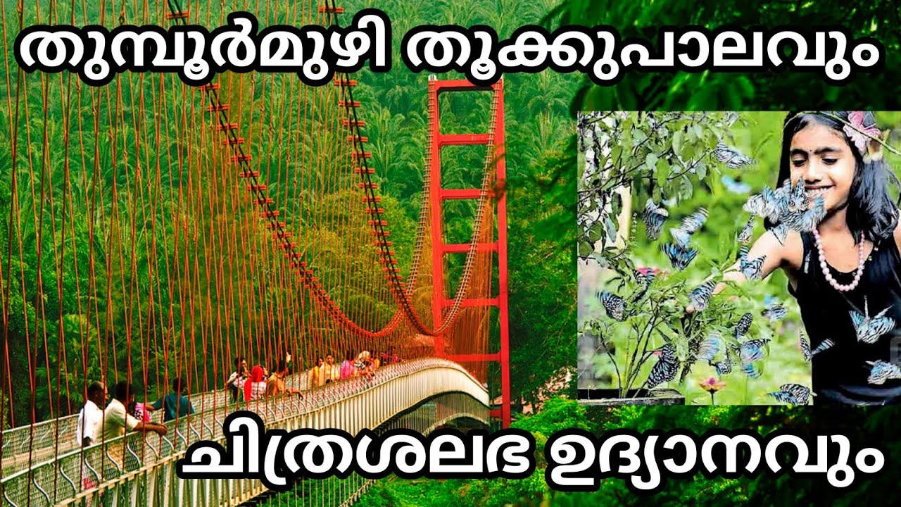 Thumboormuzhi dam | Thumboormuzhi Garden And Ezhattumugham Prakriti Gramam | തുമ്പൂർമുഴി ഗാർഡൻ