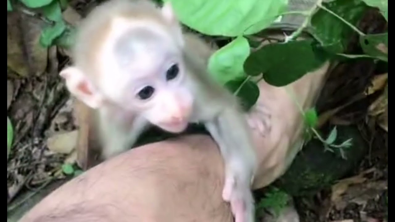 ใบบุญโดนดุเรื่องกัดสายชาร์จ​ มาดูกันว่าจะเป็นไง?