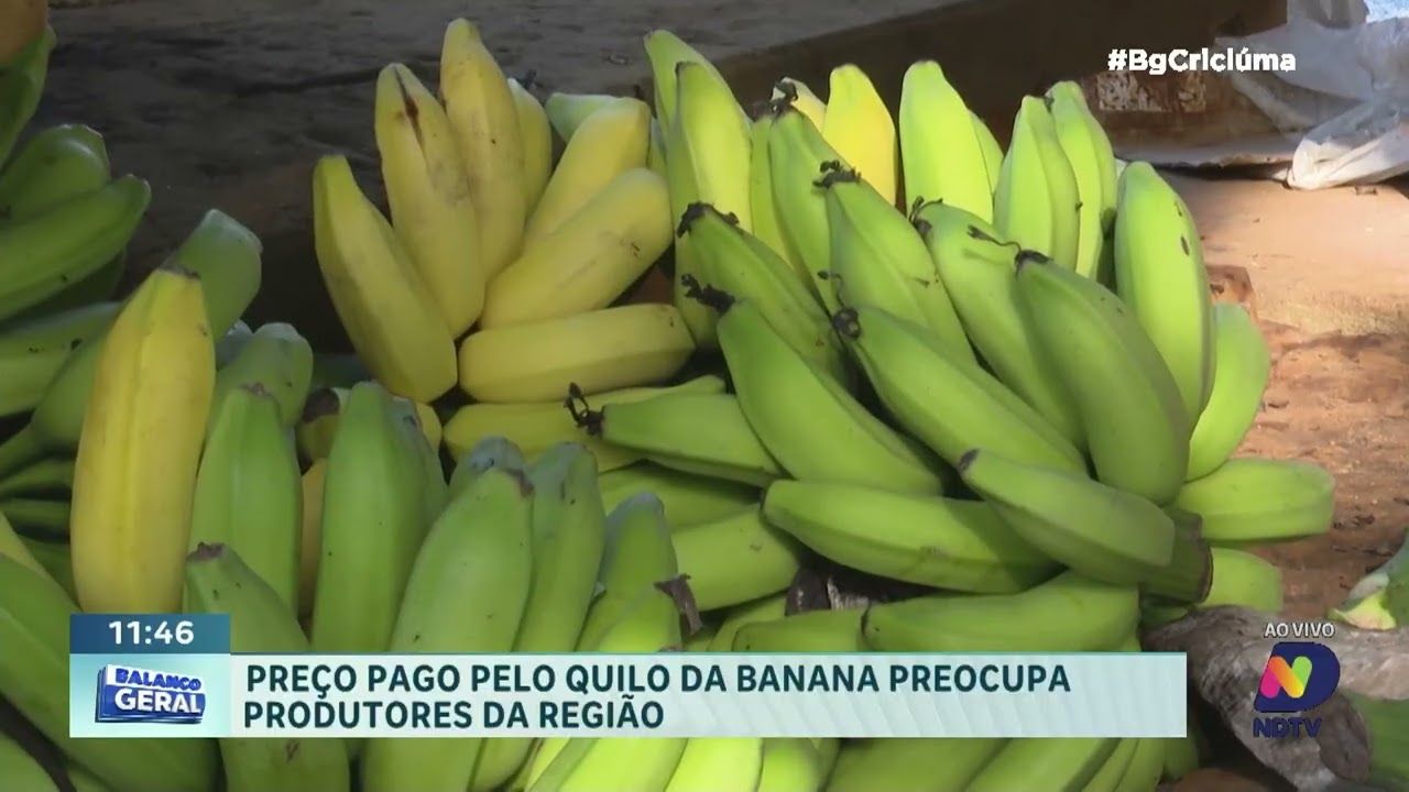 Agricultores relatam prejuízo com preço baixo da banana