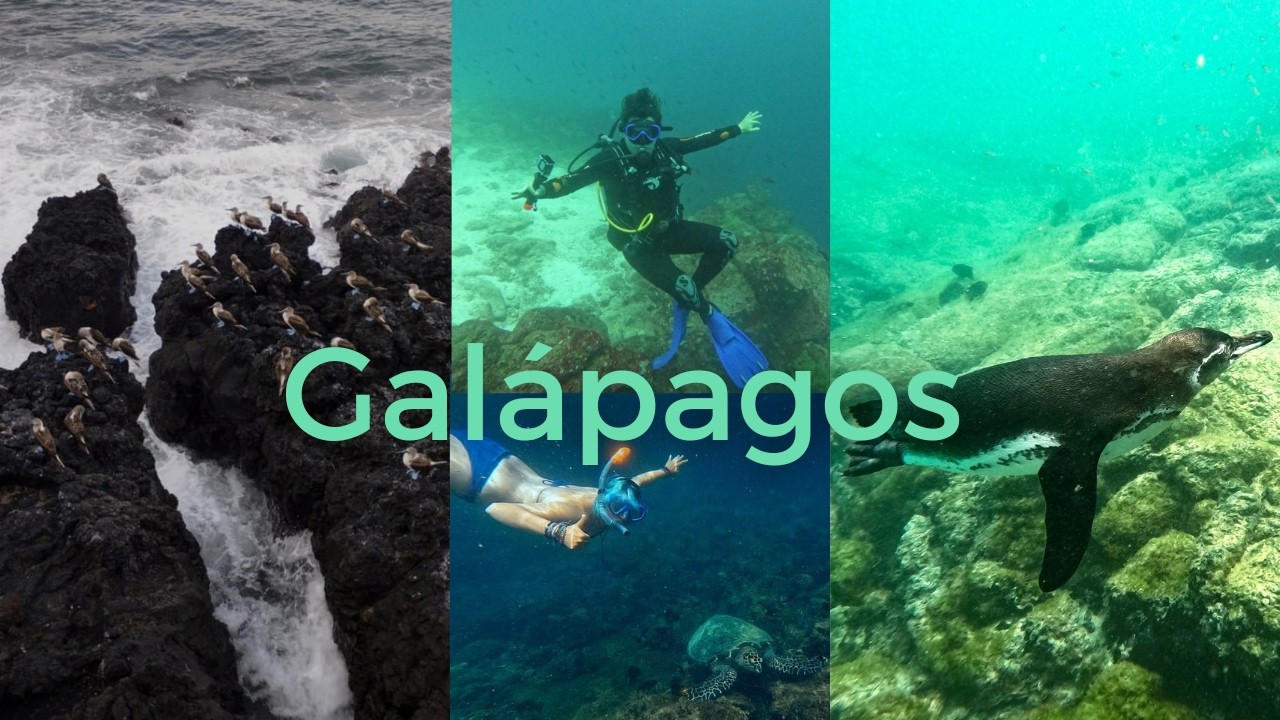 3 Weeks Galapagos Island on a Budget