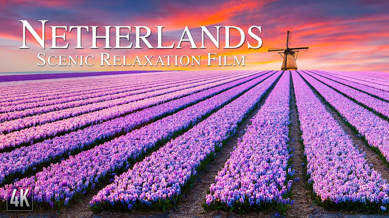 Netherlands 4K Relaxation Film | Aerial Drone 4K Holland & Amsterdam | Dutch Landscape & Chill Music