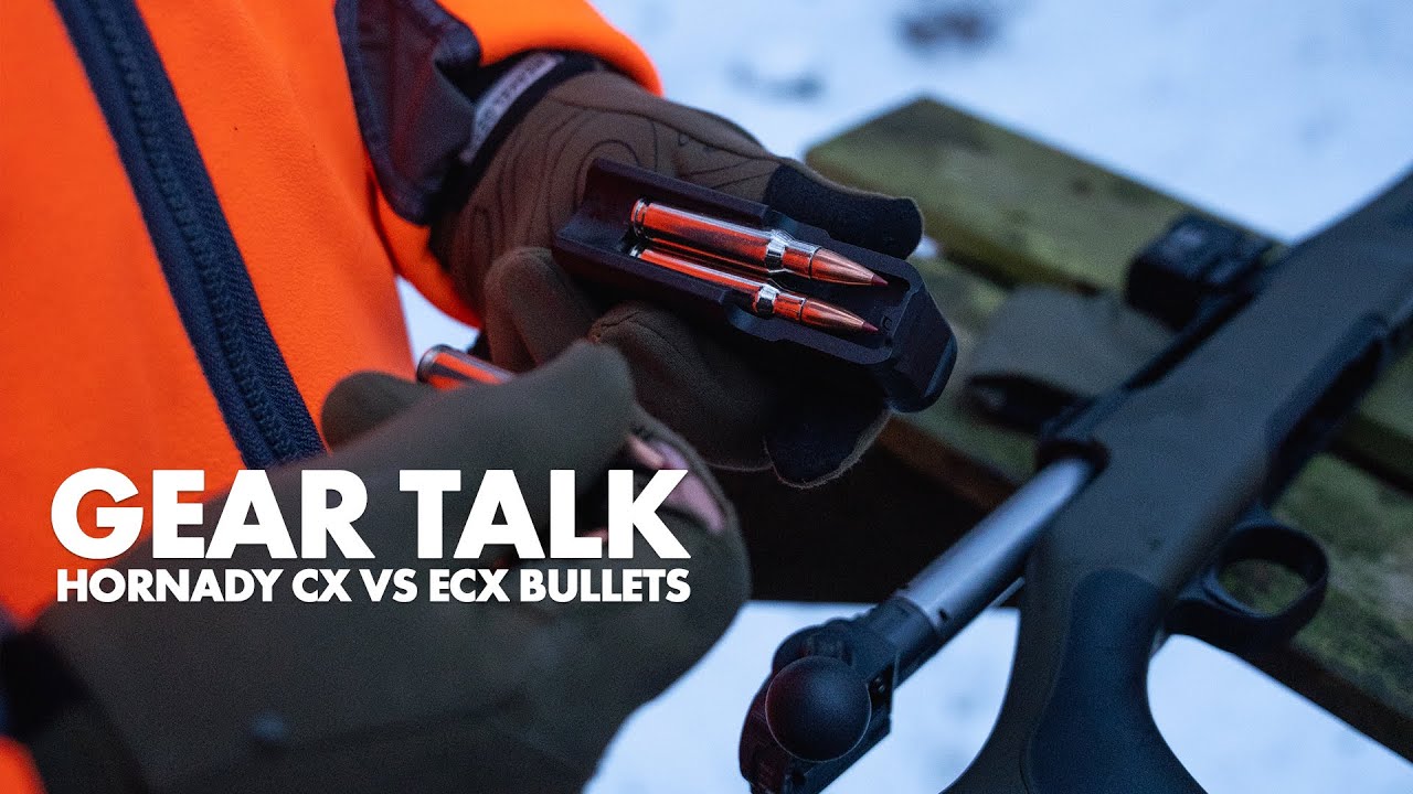 Пули Hornady CX против ECX | ОБСУЖДЕНИЕ СНАРЯЖЕНИЯ