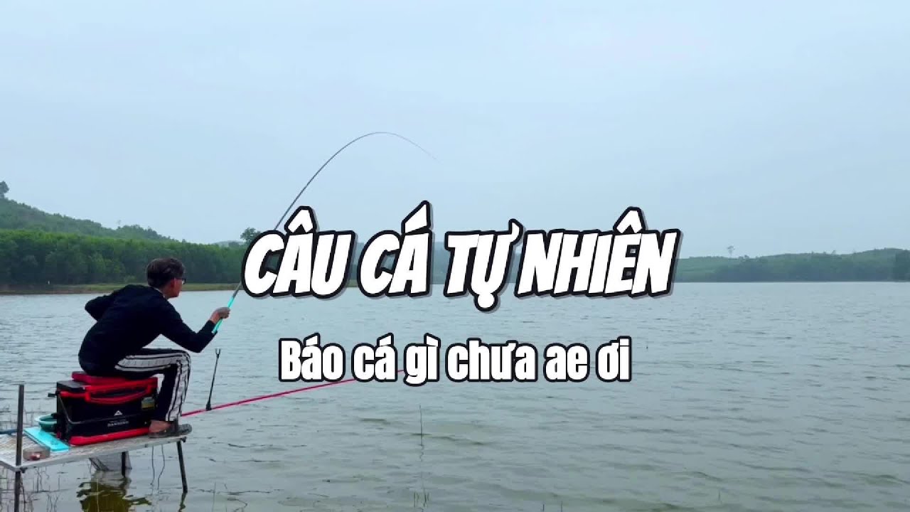 Câu Cá Tự Nhiên - Đập Ba Thi - Đô Lương