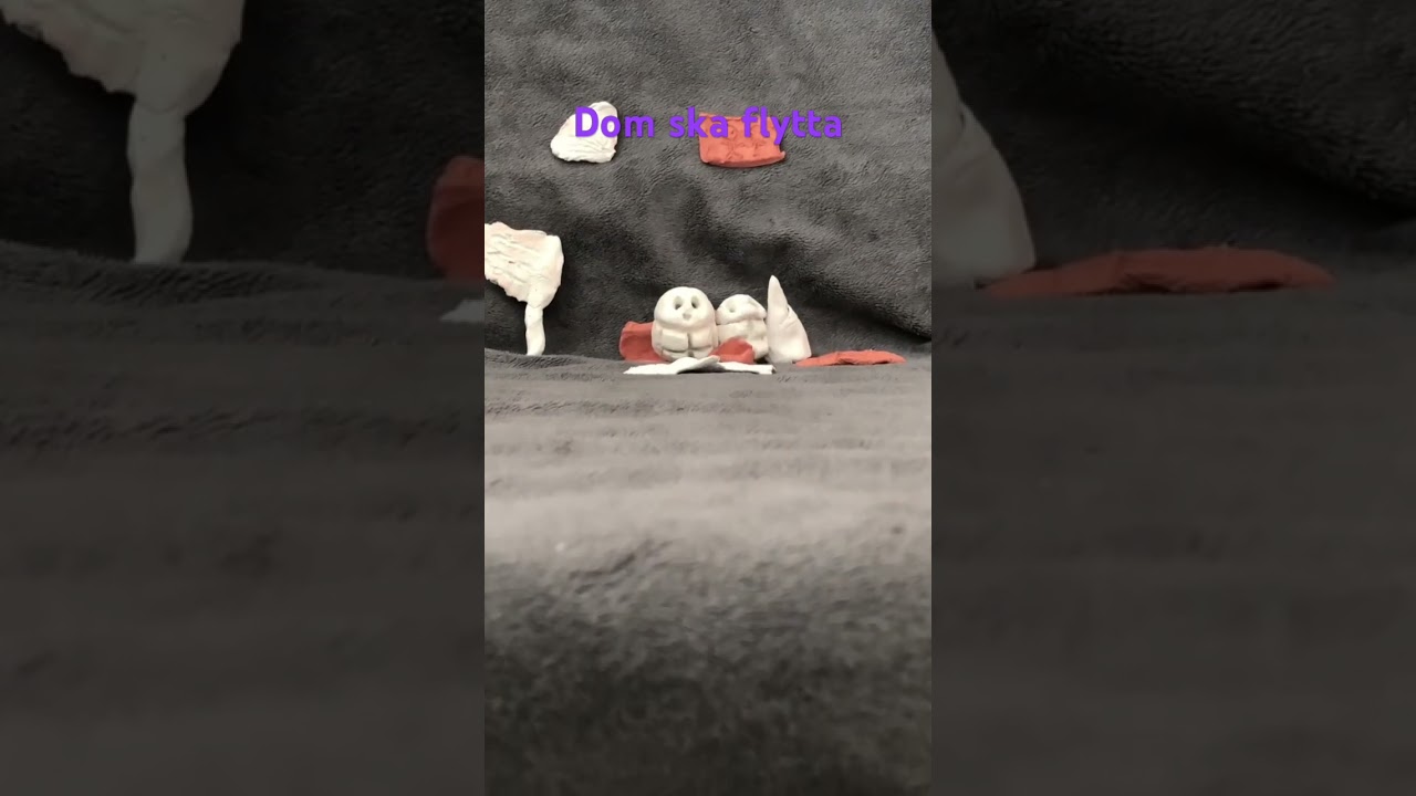 Dom ska flytta