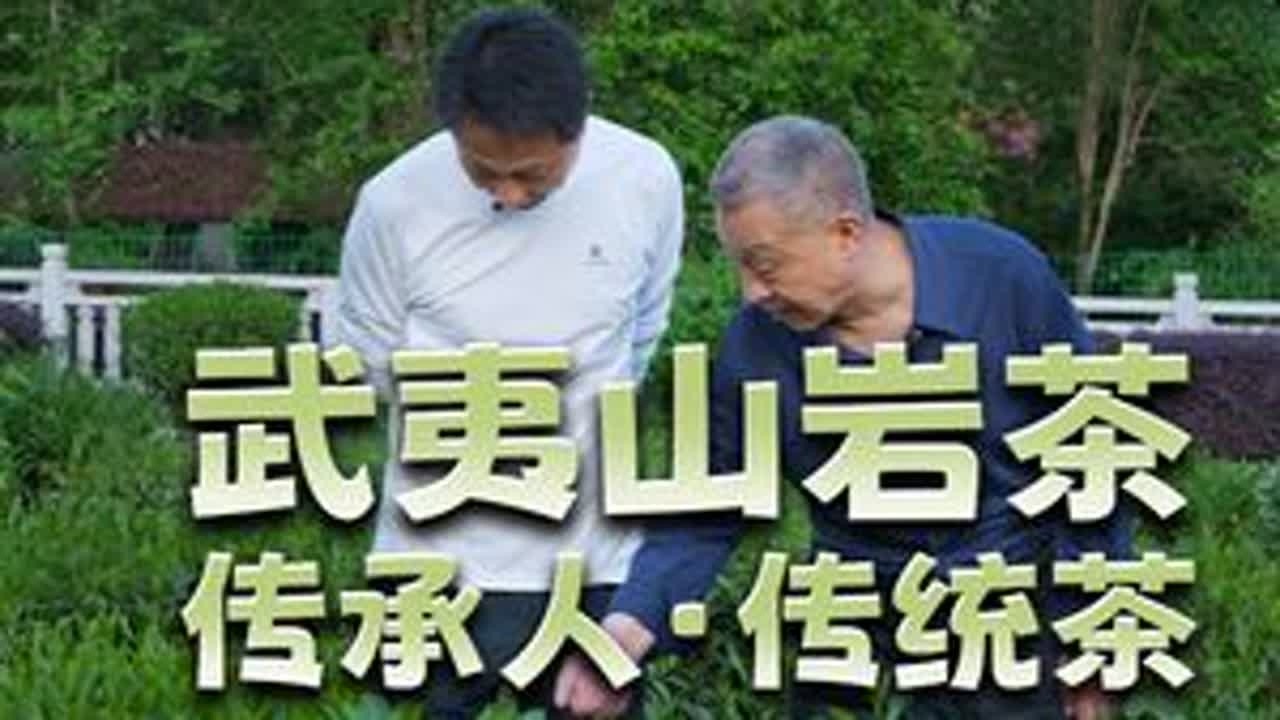 武夷山岩茶 传承人 传统茶 武夷山岩茶的“岩”字，怎么理解？#品茶品人生 #每日一茶 #武夷山岩茶 #福建美好推荐官 #召唤茶友