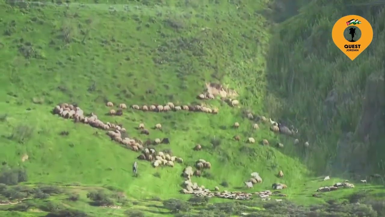 ربيع شمال الاردن مشاهدة. جمال الطبيعة في الاردن