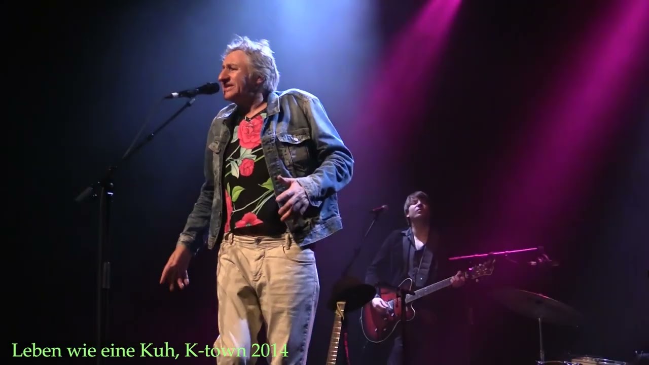 Leben wie eine Kuh, K town 2014