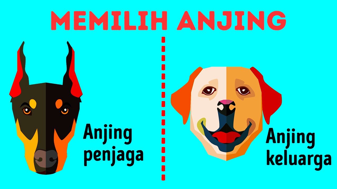 Cara Memilih Ras Anjing yang Cocok buat Kamu