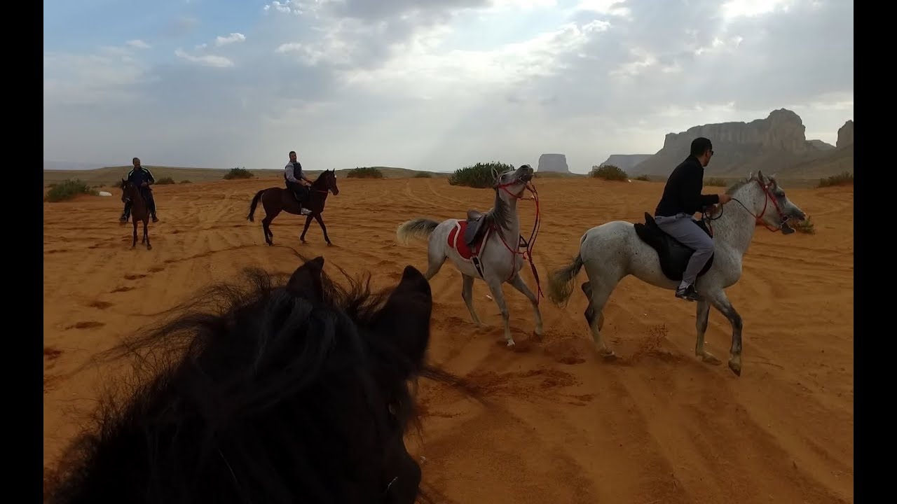سقوط اكثر من شخص ومطر واكشنات من احلى الرحلات  -  رحلة تعليمية مع المتدربين HD 1080p60