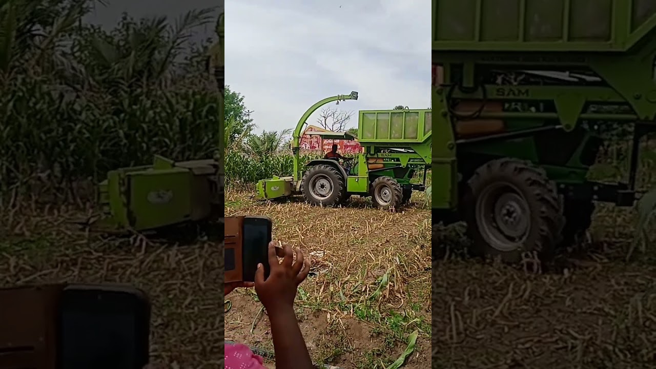 muthusolam araiththal#bhuvii #support #subscribe