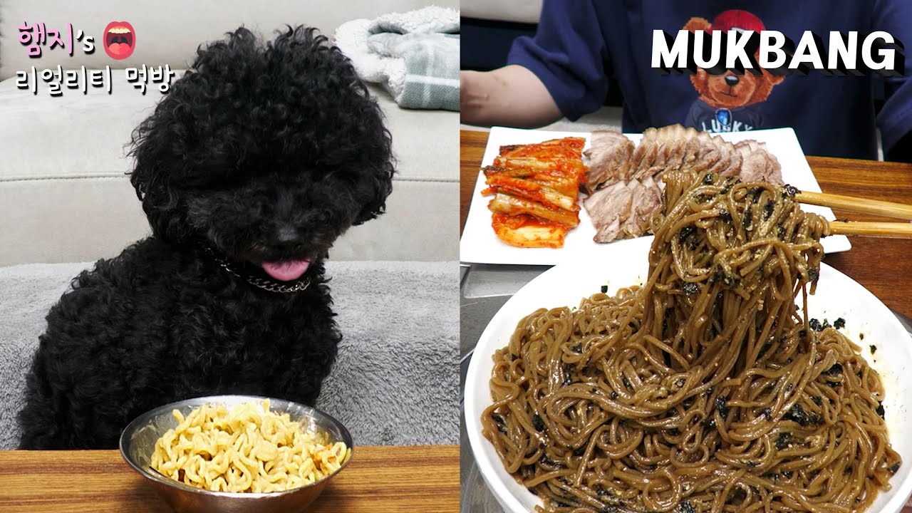 리얼먹방:) 들기름막국수 & 돼지고기수육 ★ ft. 짜장이 라면먹방(?)ㅣPerilla Oil Makguksu & SuyukㅣREAL SOUNDㅣASMR MUKBANGㅣ