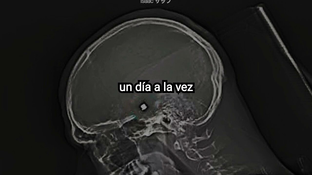 roland orzabal - bullets for brains (subtitulada al espa&ntilde;ol)