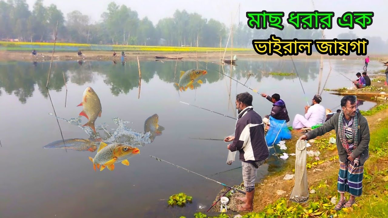 মাছ ধরার এক ভাইরাল জায়গা A viral place to fish #fishing 