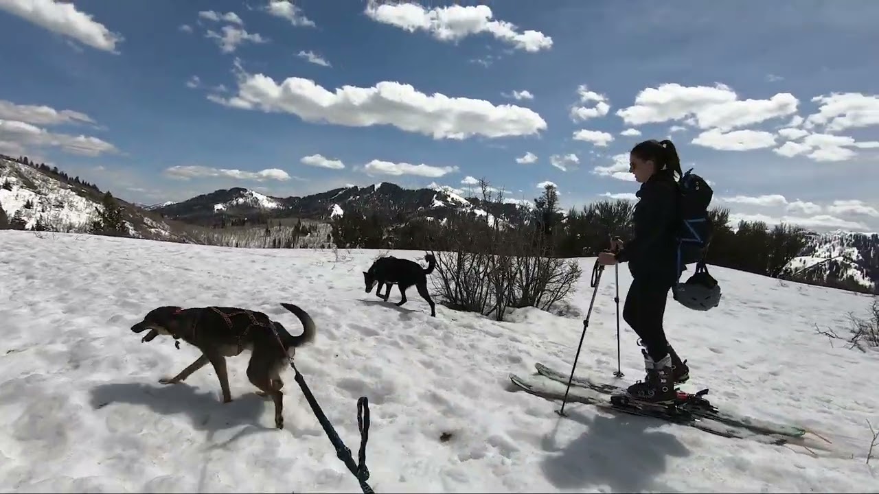 SUMMIT PARK UT APRIL 2020