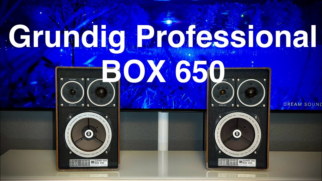 Grundig Super-Hifi box 650 Professional speaker Test