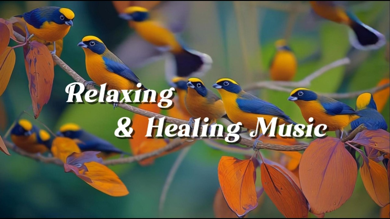 Relaxing Music for Sleep & Focus | Calm Your Mind, Study with Birds