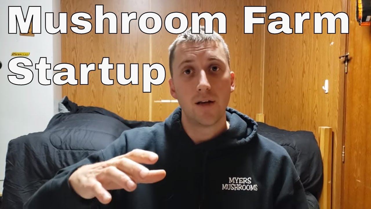 Guide For Starting Your Mushroom Farm