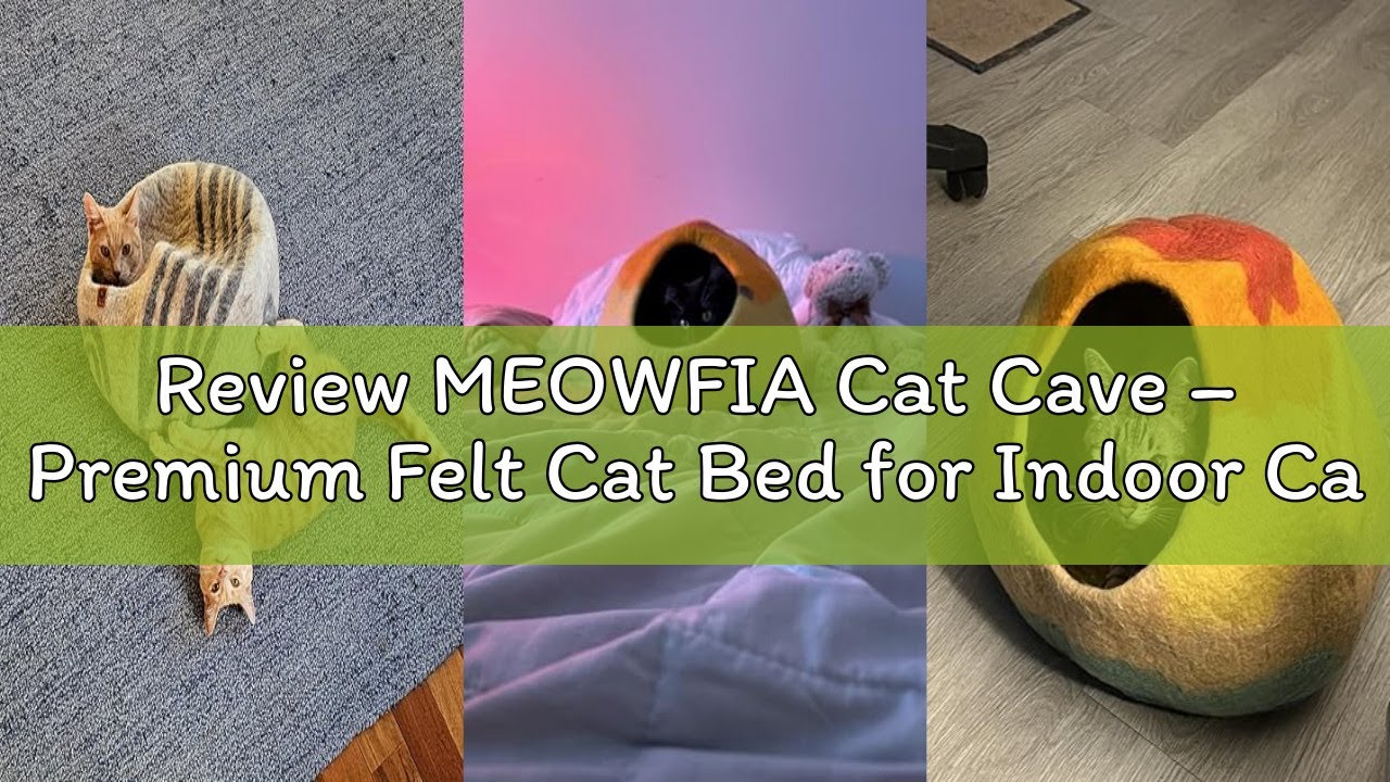 Review MEOWFIA Cat Cave – Premium Felt Cat Bed for Indoor Cats, Handmade Merino Wool (Light Grey, Me