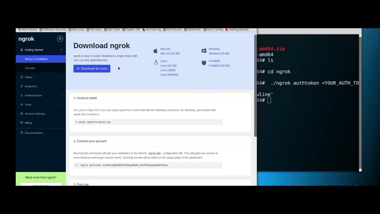 How To Download NGROK In kali Linux || BY TECHCHIP ZEUS